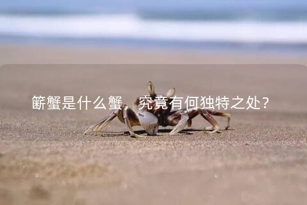 籪蟹是什么蟹，究竟有何獨特之處？